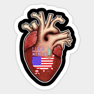 I love Merica,human heart anatomy,I love my country Sticker